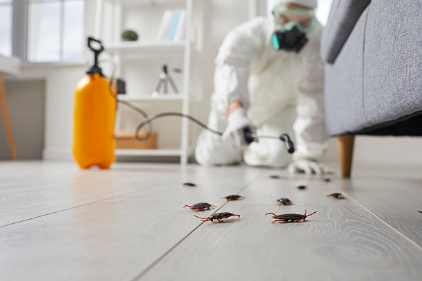 Trusted Rodent Control service in Somerset, PA - Nex Pest Control